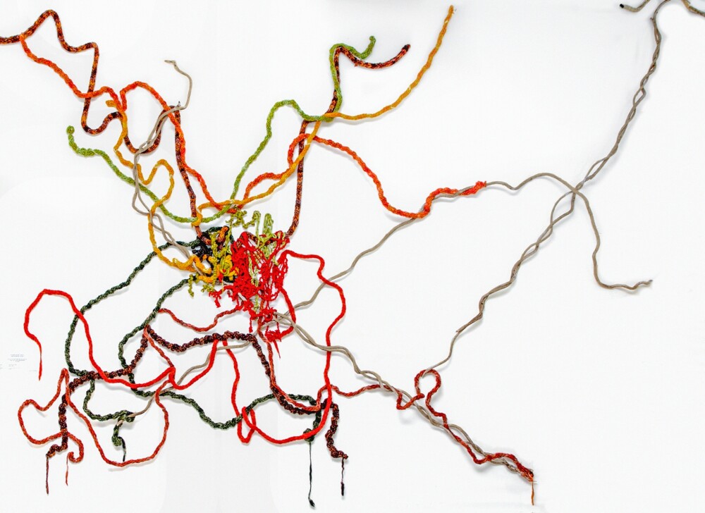 “Nature’s Map” 2020. Drawing without paper. 8’ x 12’ x 3” approximately
