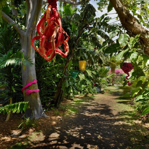 Tree Huggers & Nests, Evelyn Politzer Exhibition at Miami Beach Botanical Garden
