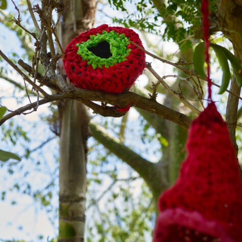 Tree Huggers & Nests, Evelyn Politzer Exhibition at Miami Beach Botanical Garden