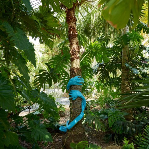 Tree Huggers Installation. 2022 Outdoor fabric. Dimensions variable.